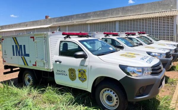 Corpo carbonizado é encontrado às margens da TO-222 em Santa Fé do Araguaia