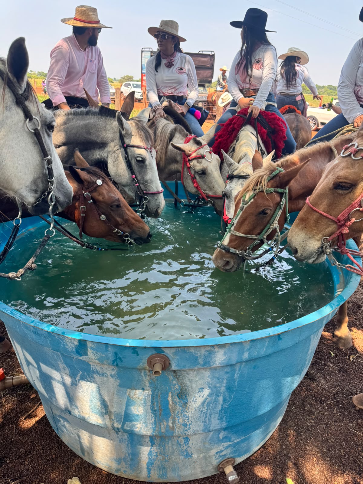 Lagoa da Confusão realiza primeira cavalgada exclusivamente feminina, a Damas da Sela