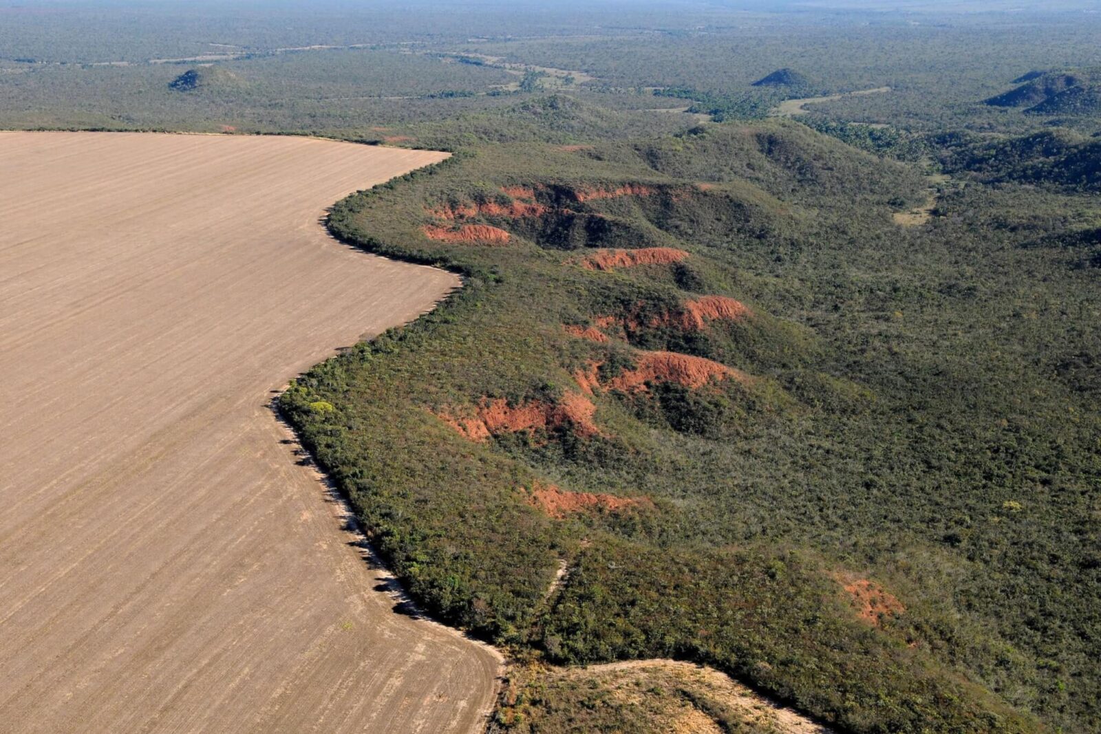 Tocantins registra 38 km² sob alerta de desmatamento no Cerrado em setembro