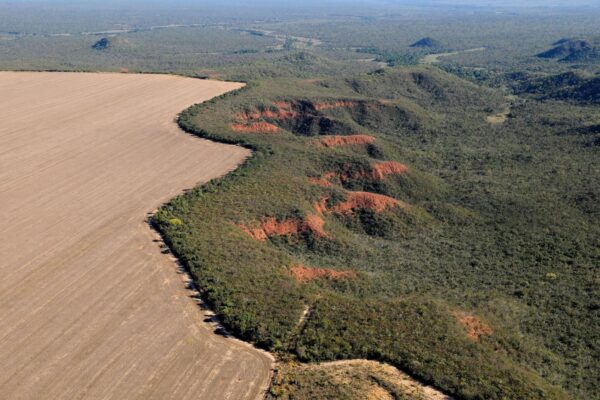 Tocantins registra 38 km² sob alerta de desmatamento no Cerrado em setembro