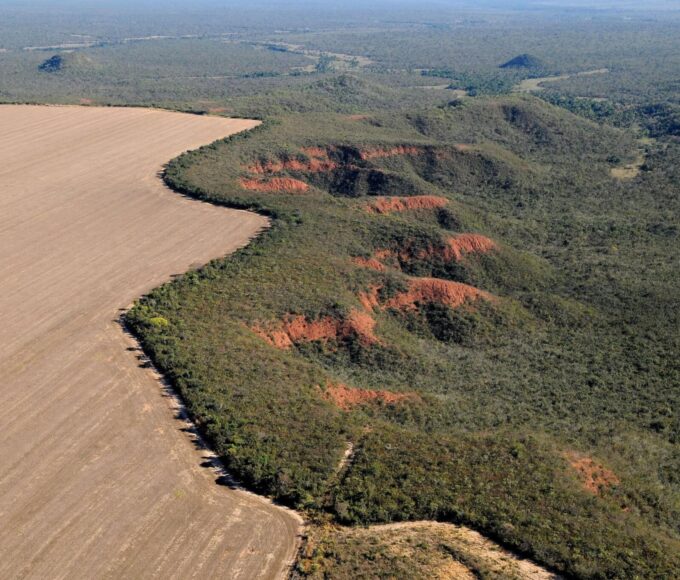 Tocantins registra 38 km² sob alerta de desmatamento no Cerrado em setembro
